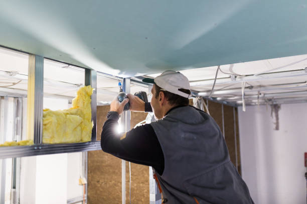 Best Residential Insulation in Crosby, MN